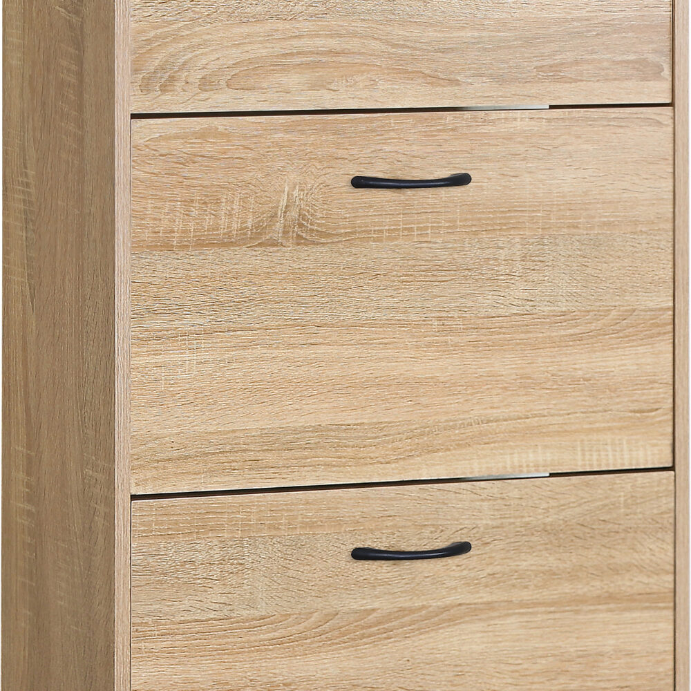 Zapatero 3 Puertas 117×60×24 cm